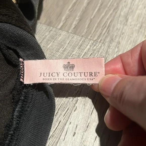RARE! Juicy Doggy Couture Family Crest Velour Hoodie